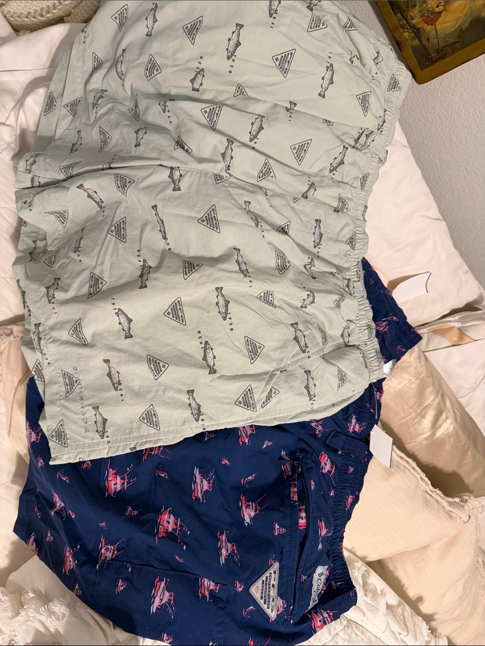 Columbia Boys' Swim Shorts in Light Mint & Navy Fish Print